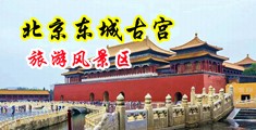 美女被黑人疯狂顶撞流水视频中国北京-东城古宫旅游风景区